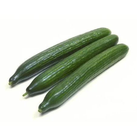 خیار پرو مکس